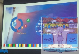 التحالف التونسي للحكومة المفتوحة خطة العمل